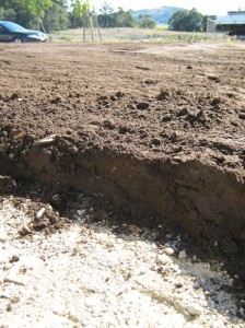 50mm thick topsoil 50mm thick topsoil