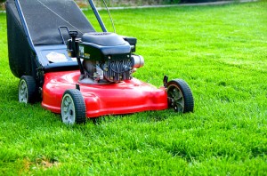 Push Mower