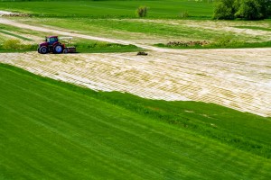 Turf Farm, 2 Turf Farm, 2