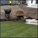 Go from Brown to Green lawn instantly!
