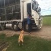 Its Keith's dream to one day be in the big truck, instead of with me in the little truck. Sorry Keith not today.