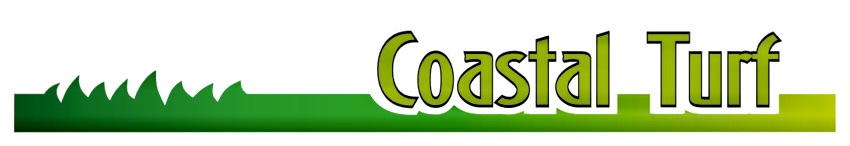 CT Logo pikniked version